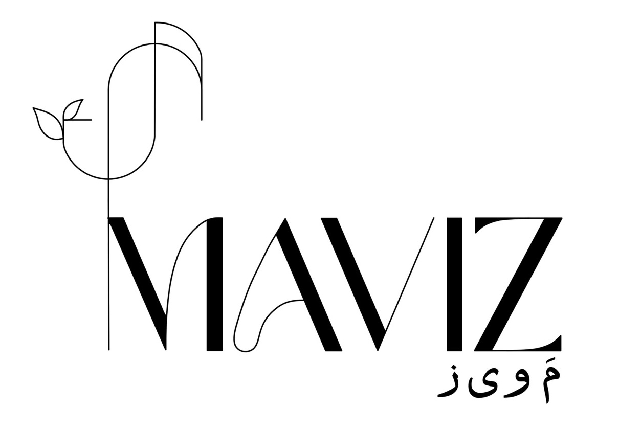 maviz-logo